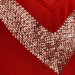 Georgette sequin blouse